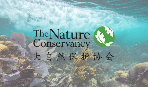 唐道科技签约大自然保护协会，助力自然环境保护宣传